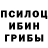 Псилоцибиновые грибы Psilocybe Dmitry_StreamChannel
