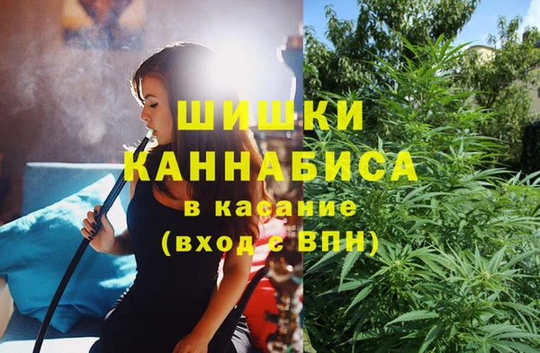 ECSTASY Мегион