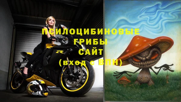 молекула духа Медногорск