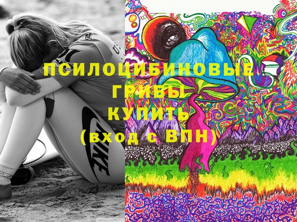ECSTASY Мегион